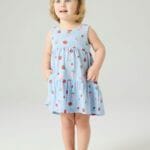SPENCER DRESS CHAMBRAY BLUE - STRIPPED STRAWBERRY