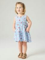 SPENCER DRESS CHAMBRAY BLUE - STRIPPED STRAWBERRY
